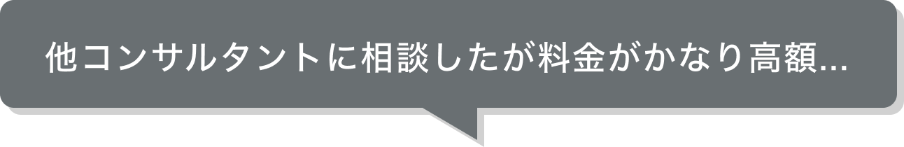 他コンサルタントに相談したが料金がかなり高額...